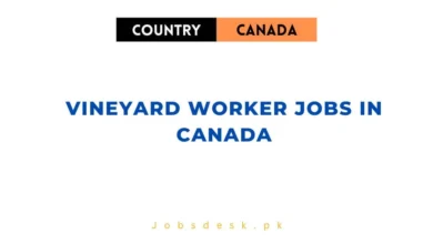 Vineyard Worker Jobs in Canada
