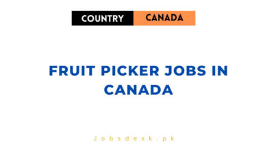 Fruit Picker Jobs in Canada