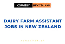 Dairy Farm Assistant Jobs in New Zealand