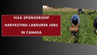 Visa Sponsorship Harvesting Labourer Jobs in Canada